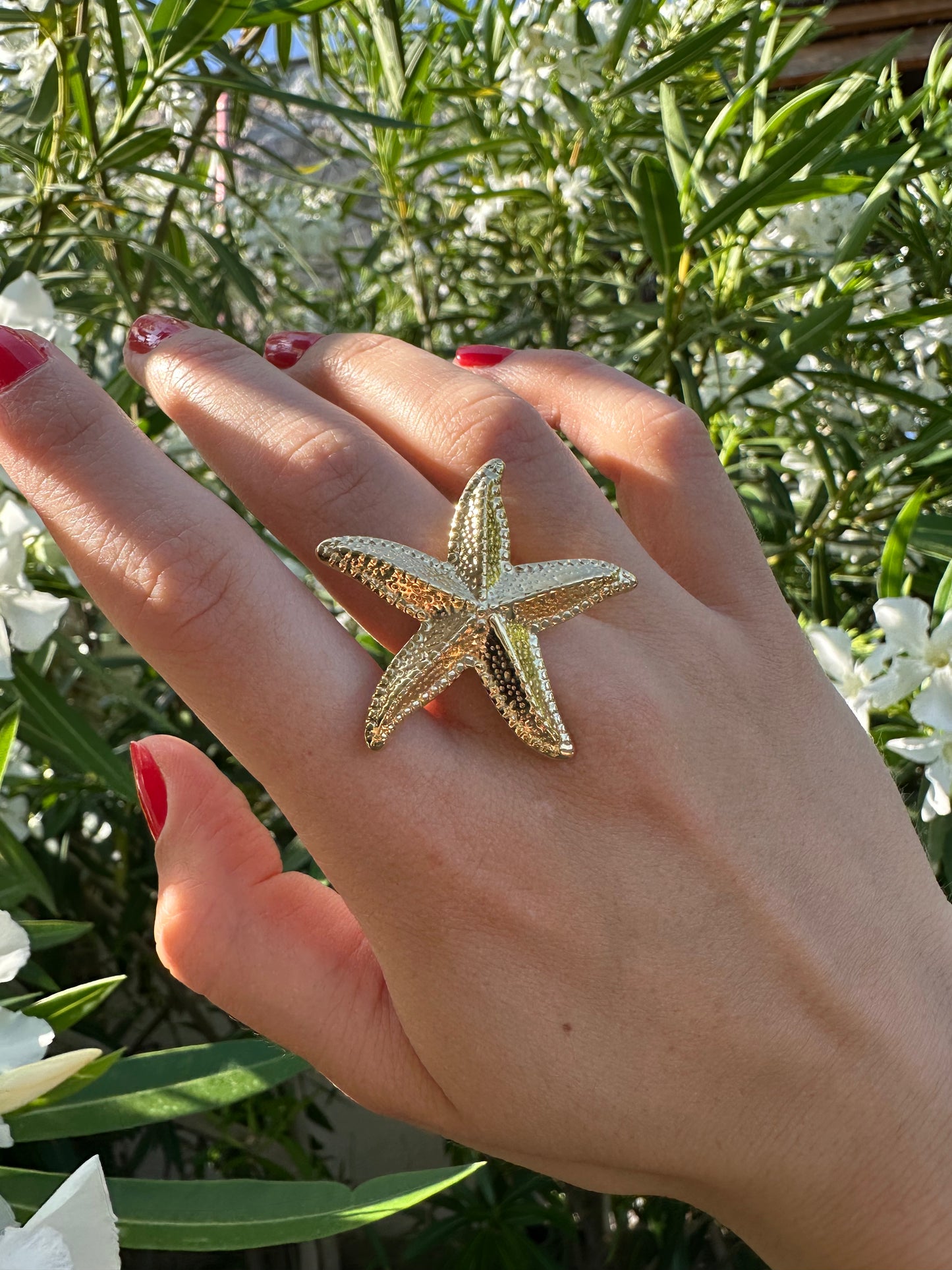 BAGUE ARIEL