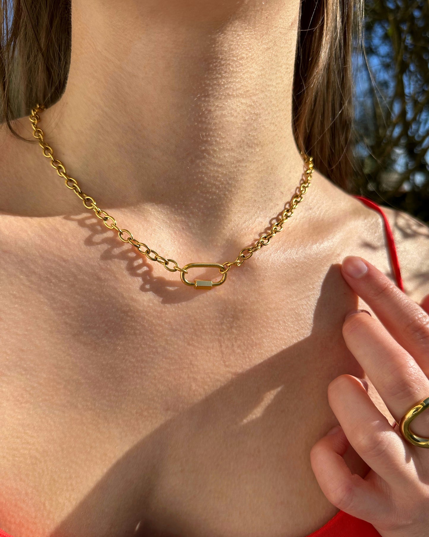 COLLIER MARION