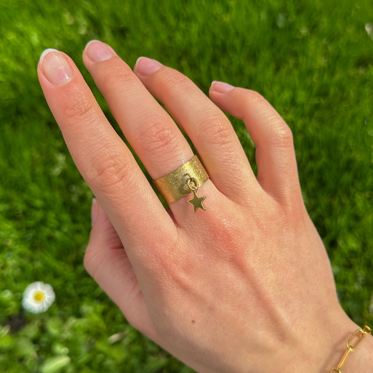 BAGUE ZIA