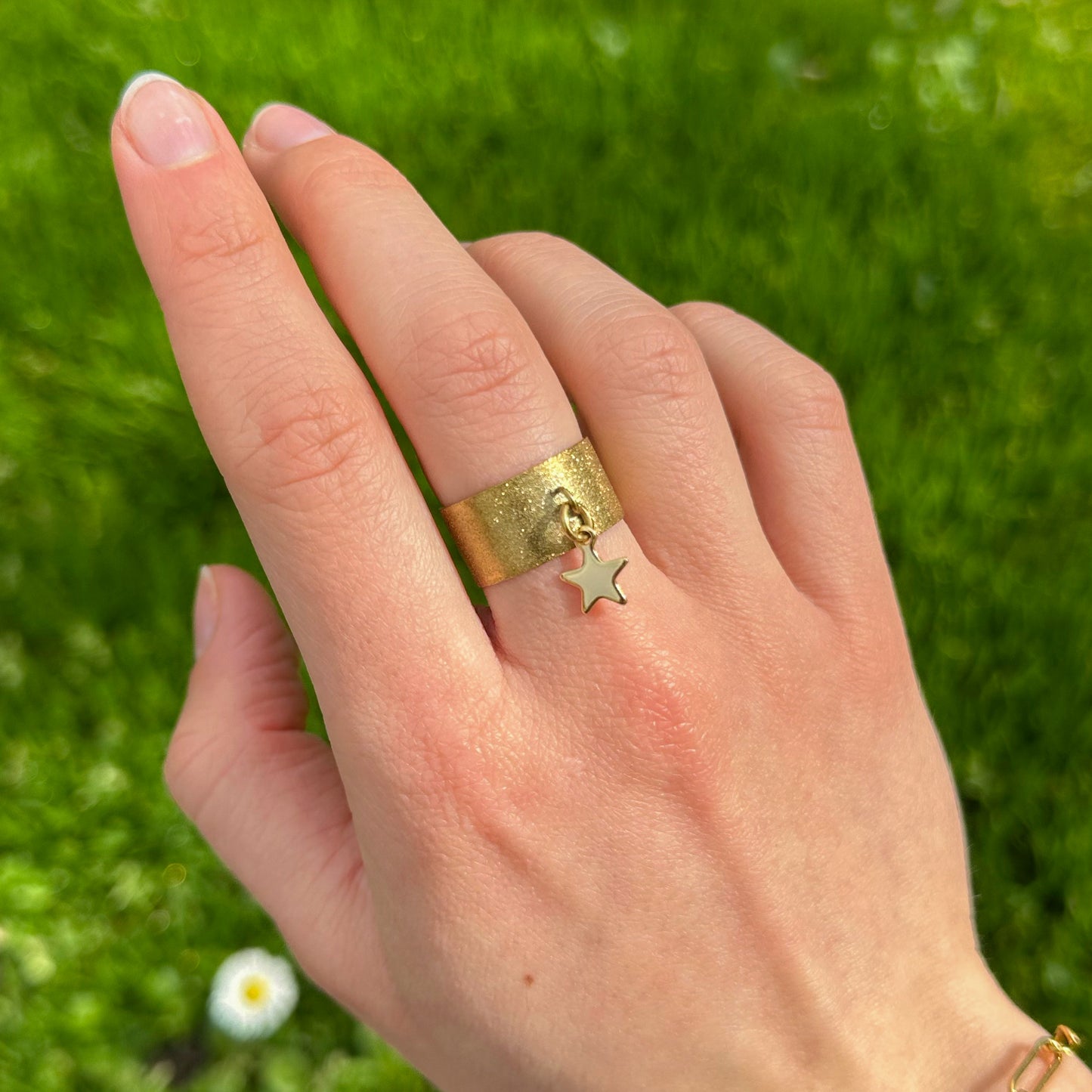 BAGUE ZIA