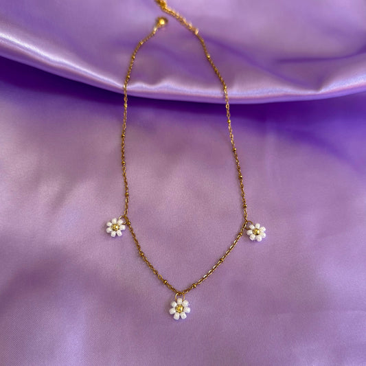 COLLIER LOANE