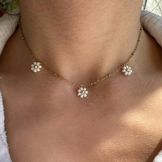 COLLIER LOANE