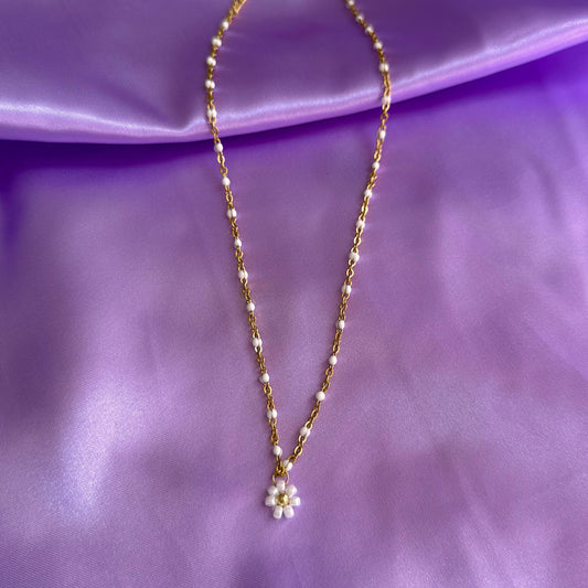 COLLIER ALBANE