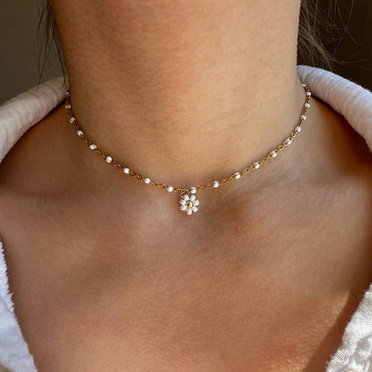 COLLIER ALBANE